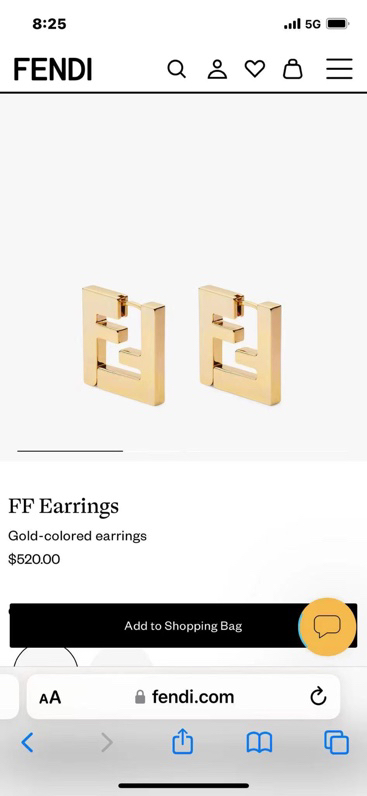 Fendi Earrings